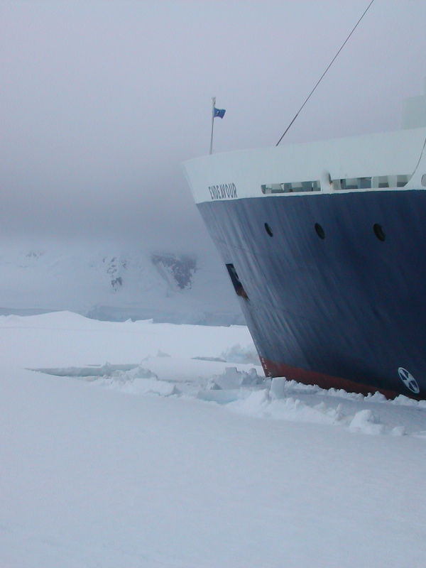 ice sheet afloat