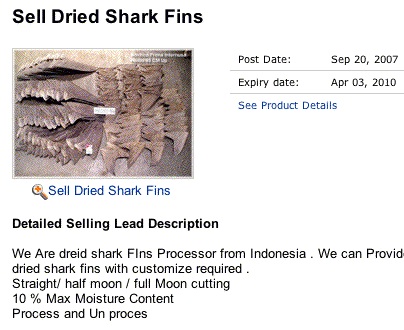 shark finning