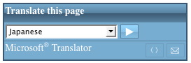 translator_widget